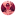 Mopoga