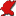 NovelCrow